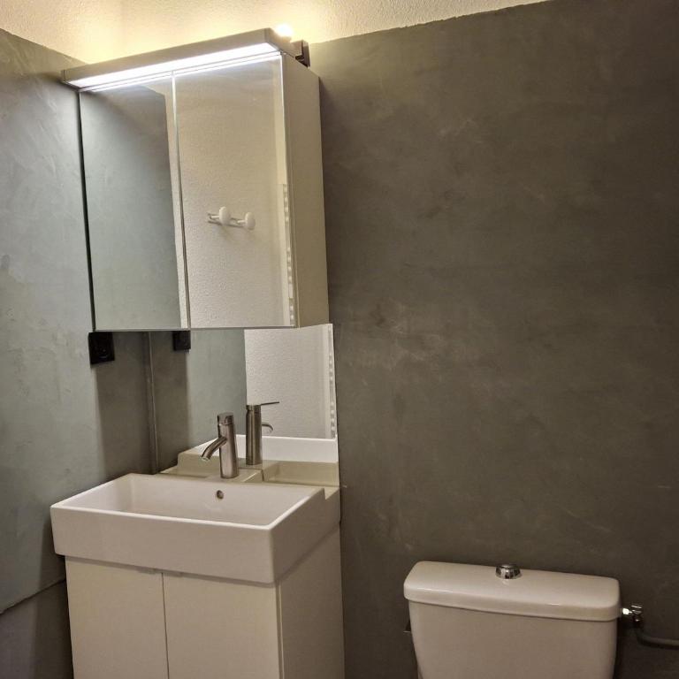 Studio 4 pers avec balcon et parking, WIFI inclus, animaux admis - Studio - 7