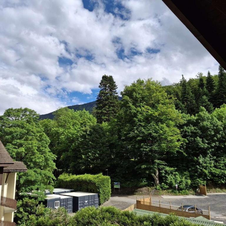 Studio 4 pers avec balcon et parking, WIFI inclus, animaux admis - Studio - 10
