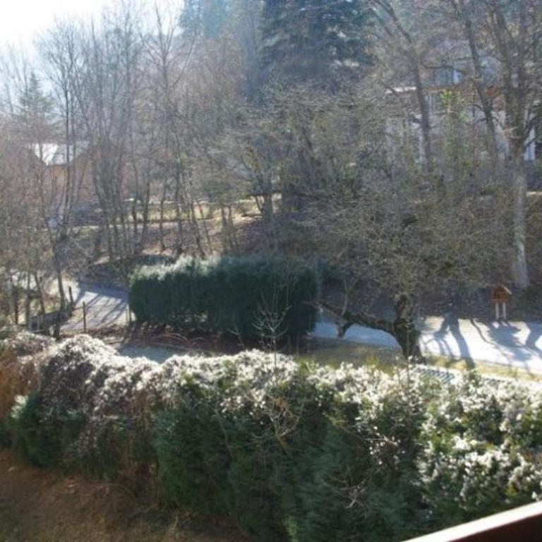 Studio 4 pers avec balcon et parking, WIFI inclus, animaux admis - Studio - 11