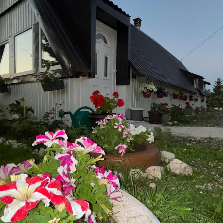 The Secret Garden Retreat - One-Bedroom House - 1