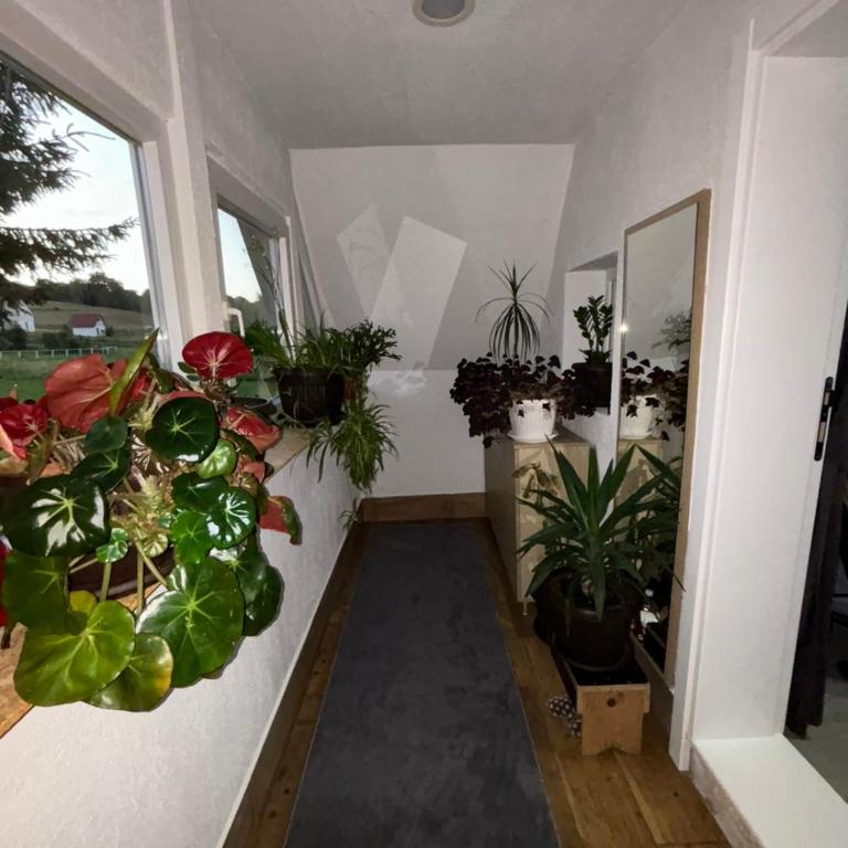 The Secret Garden Retreat - One-Bedroom House - 2