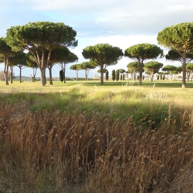 Studio cabine climatisé, proche plage, parfait pour 4 pers. - FR-1-307-123 - Studio - 21