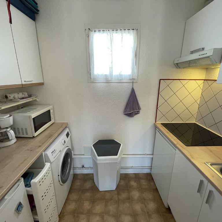 T2 Port St Cyprien Piscine, Clim, Parking, Animaux Ok - FR-1-106-39 - Apartamento - 10