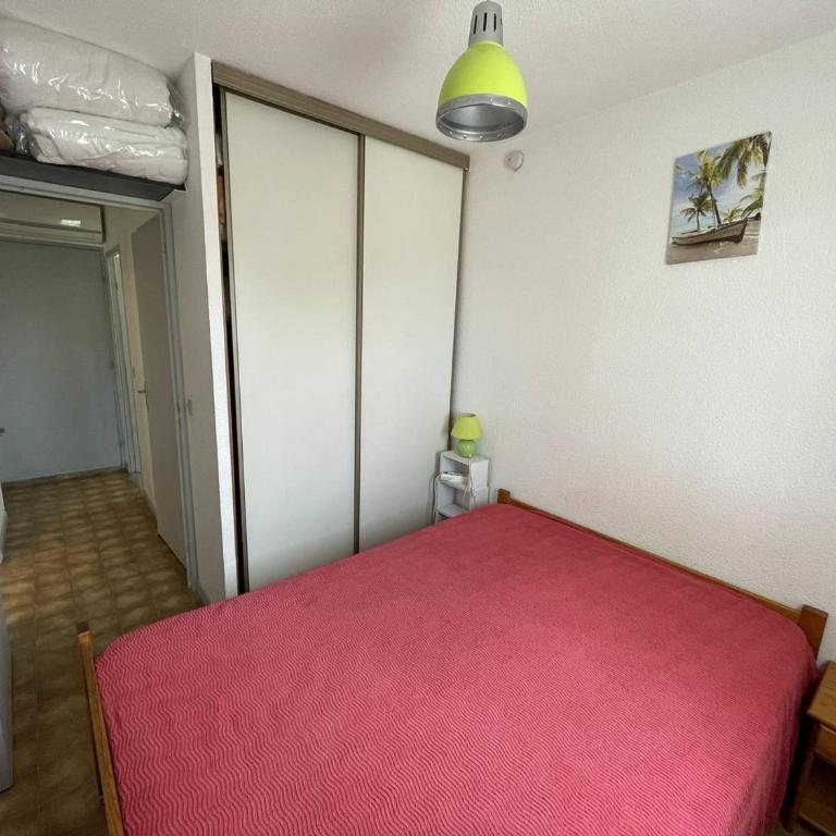 T2 Port St Cyprien Piscine, Clim, Parking, Animaux Ok - FR-1-106-39 - Apartamento - 15