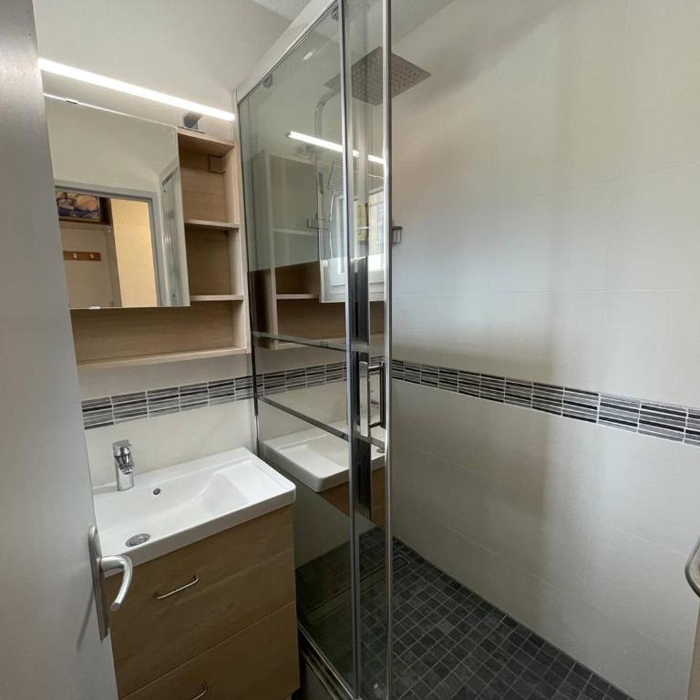 T2 Port St Cyprien Piscine, Clim, Parking, Animaux Ok - FR-1-106-39 - Apartamento - 18