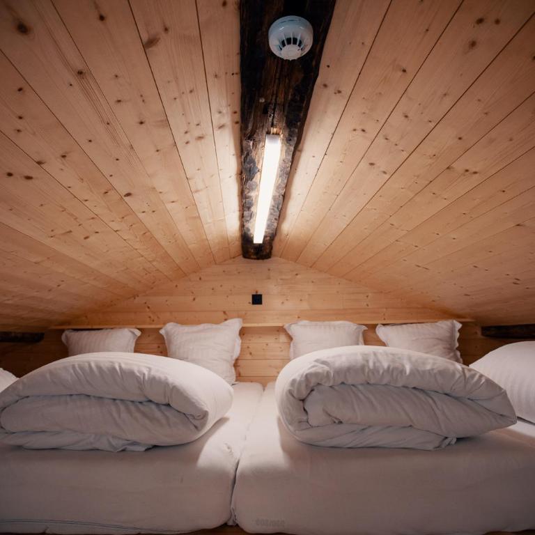 Le Mayen de Colombire - Chalet 3 Chambres - 6