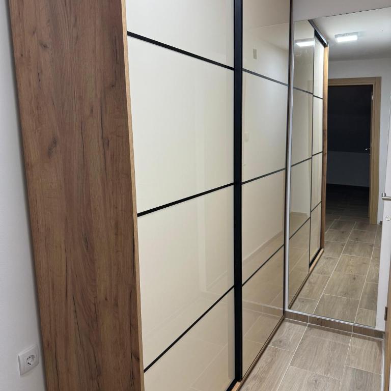 Viktor Lux Apartmani - Deluks Apartman sa 2 Spavaće Sobe i Balkonom - 4