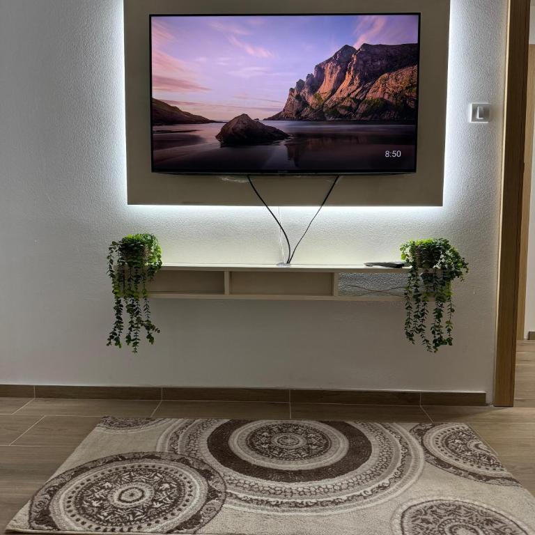 Viktor Lux Apartmani - Deluks Apartman sa 2 Spavaće Sobe i Balkonom - 3
