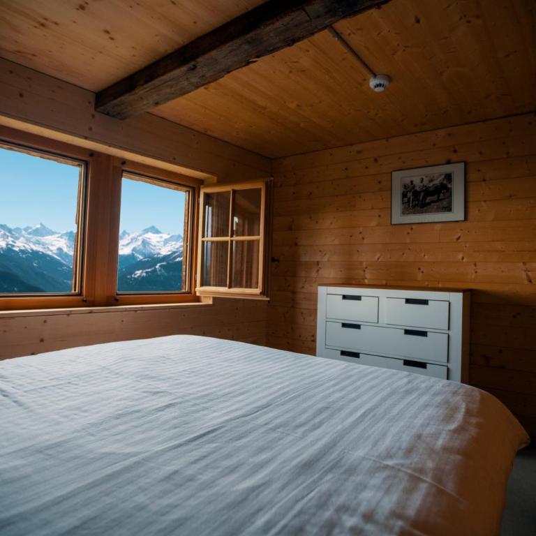 Le Mayen de Colombire - Chalet 3 Chambres - 1