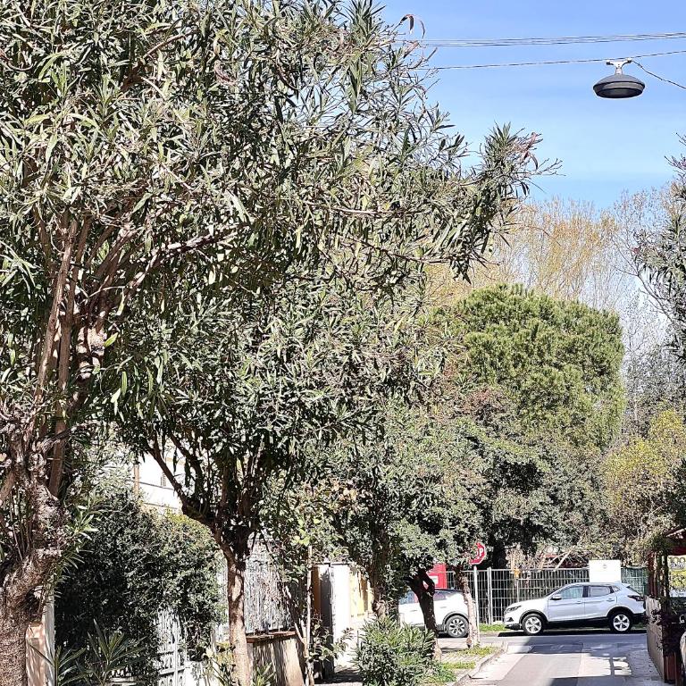 Casa Sant'Andrea - Appartamento con 2 Camere da Letto - 16