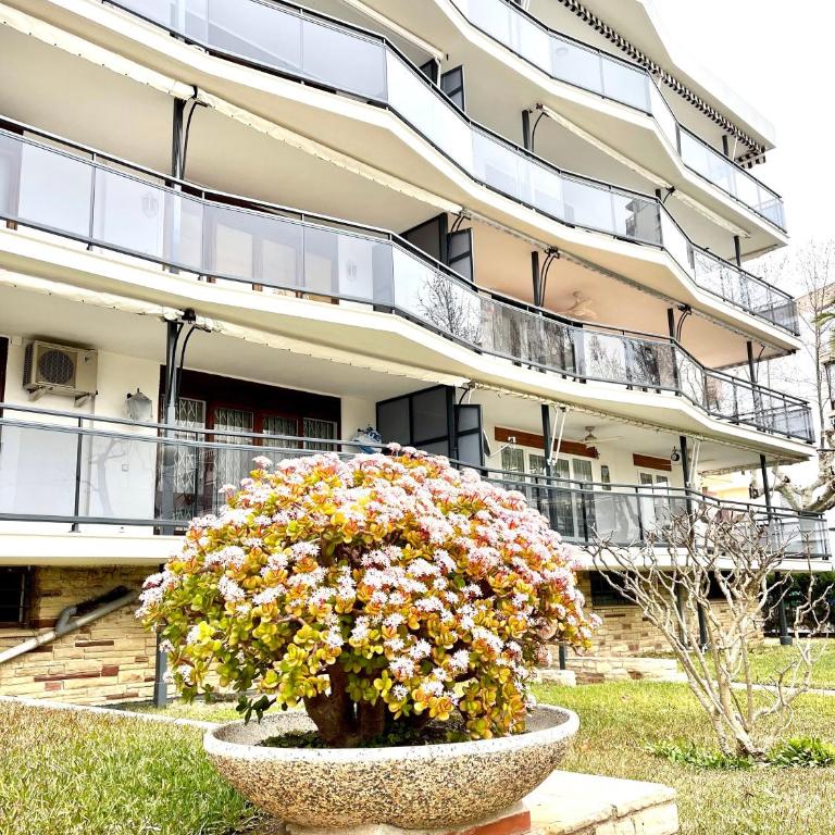 APARTBEACH CAPRI FRONT BEACH CLIMA y WIFI - Apartment - 29
