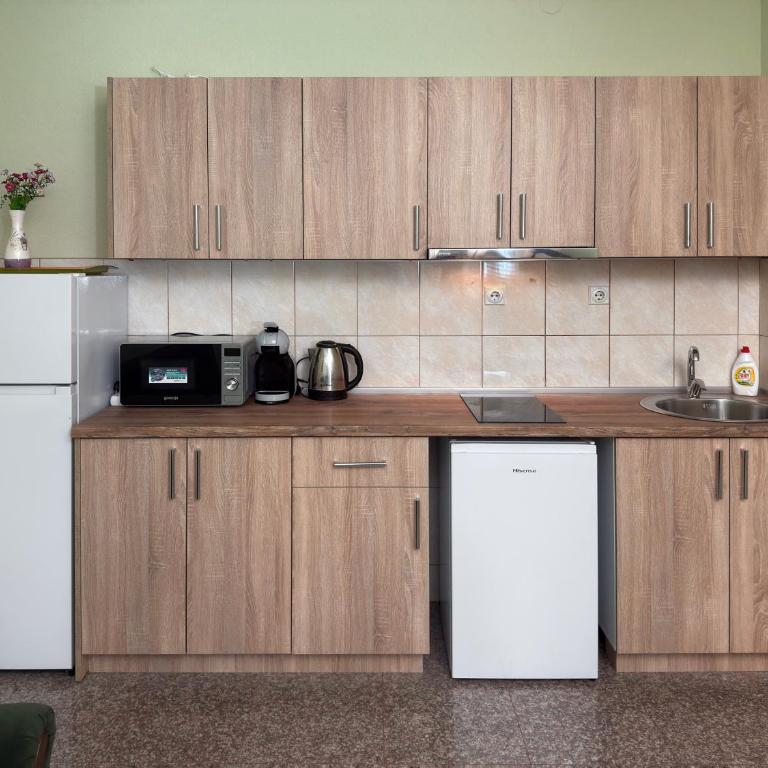 VILA TARA - Apartman sa 1 Spavaćom Sobom - 2