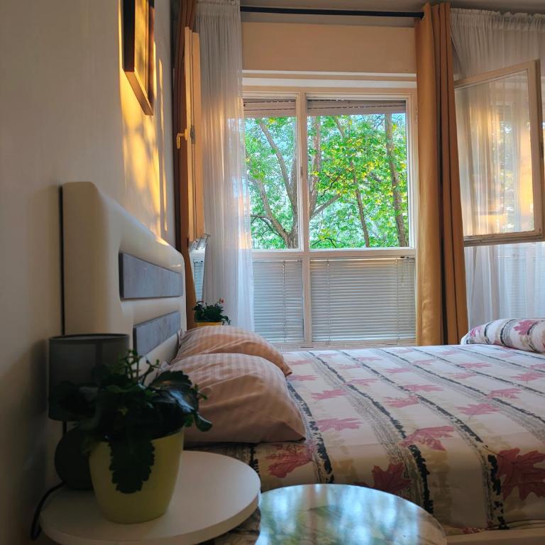 Apartment Centar - One-Bedroom Apartment - 2