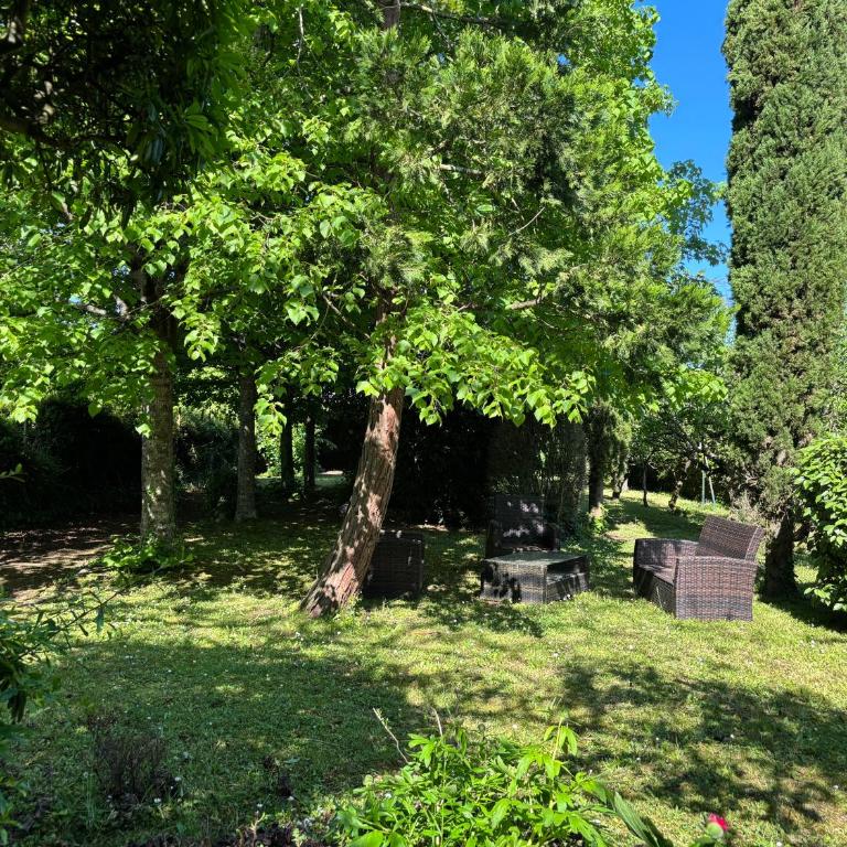 Havre de paix cosy avec jardin proche du centre-ville de Poitiers - Appartement 2 Chambres - 11
