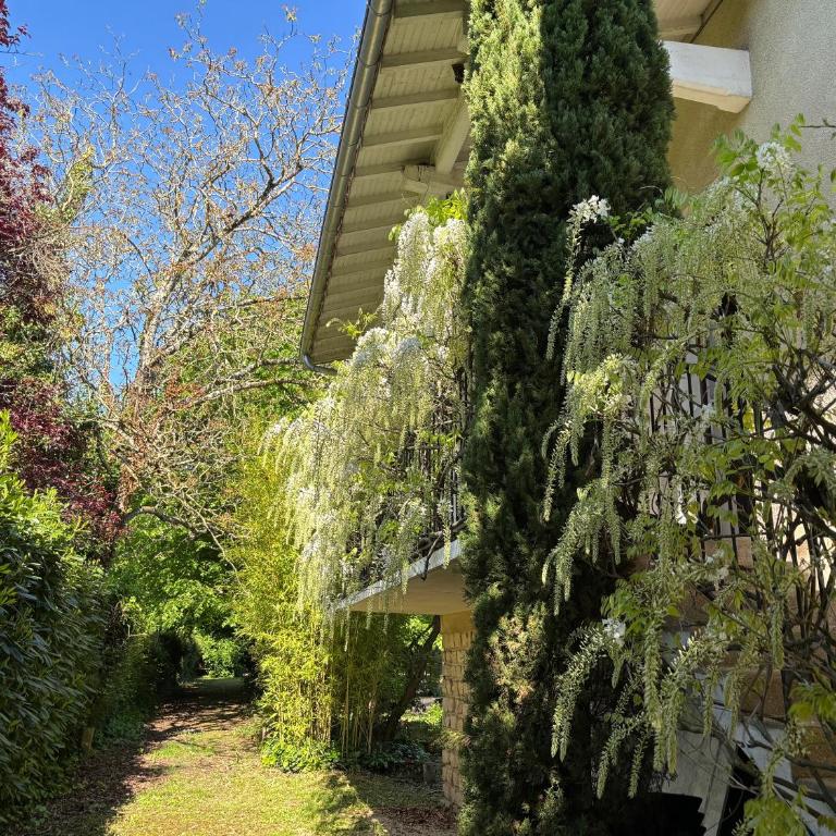Havre de paix cosy avec jardin proche du centre-ville de Poitiers - Appartement 2 Chambres - 10