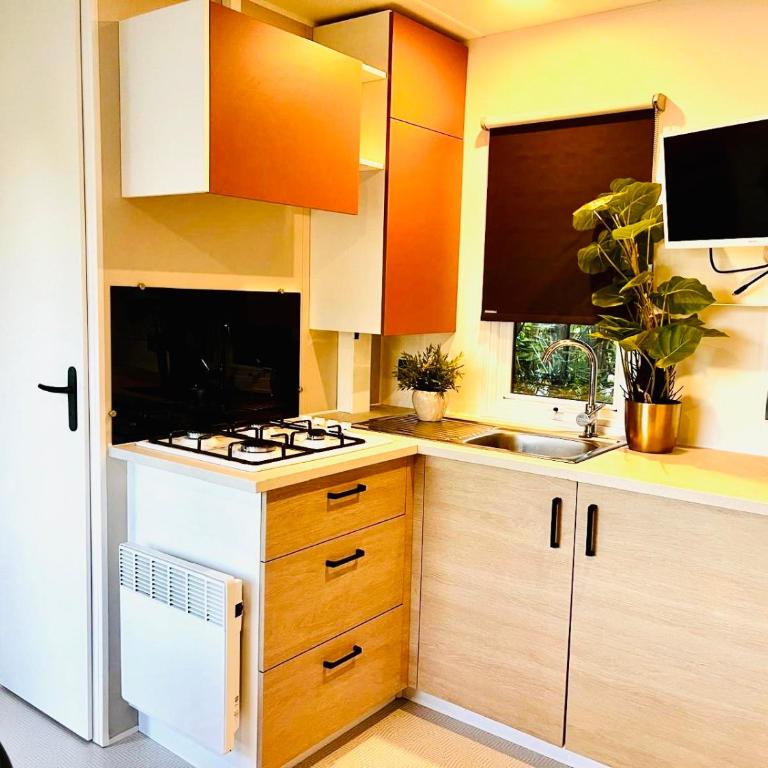 Stella am See 2 - Apartment mit 2 Schlafzimmern - 6