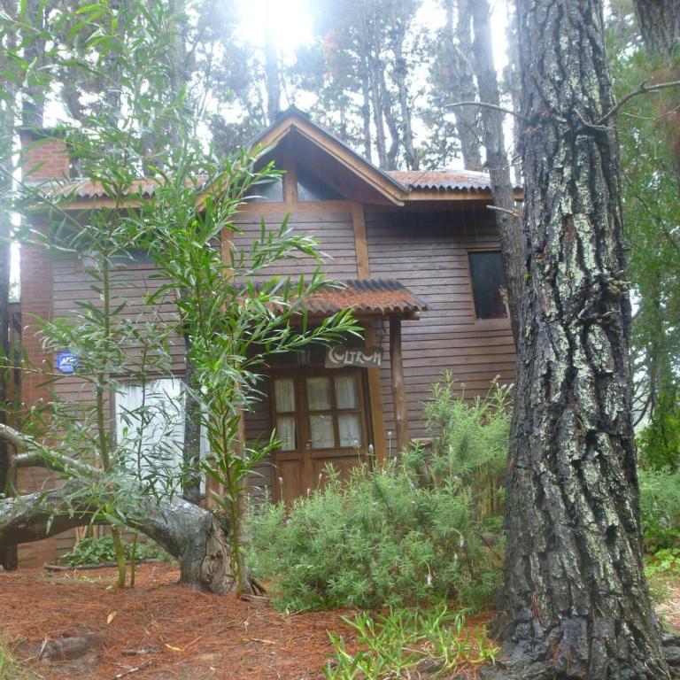 Cabaña Kultrum Mar Azul - Two-Bedroom Chalet - 17