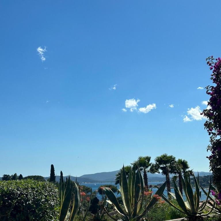 Vivre Sainte-Maxime à pieds - Villa - 14