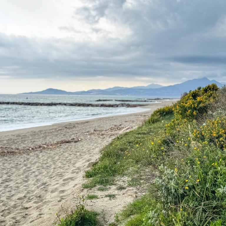 Escale aux tropiques - Vue mer - Apartment mit 2 Schlafzimmern - 15