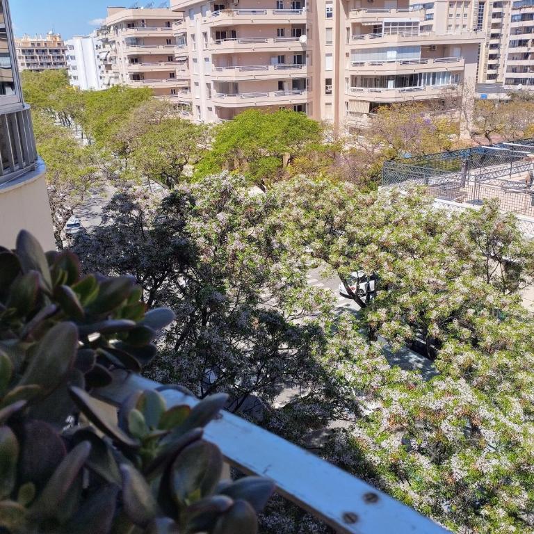 Apartment Marbella Centro - Apartamento de 2 dormitorios - 17