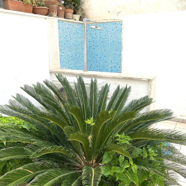 Viola&Giacinto Holiday Home - Appartamento con 3 Camere da Letto - 14