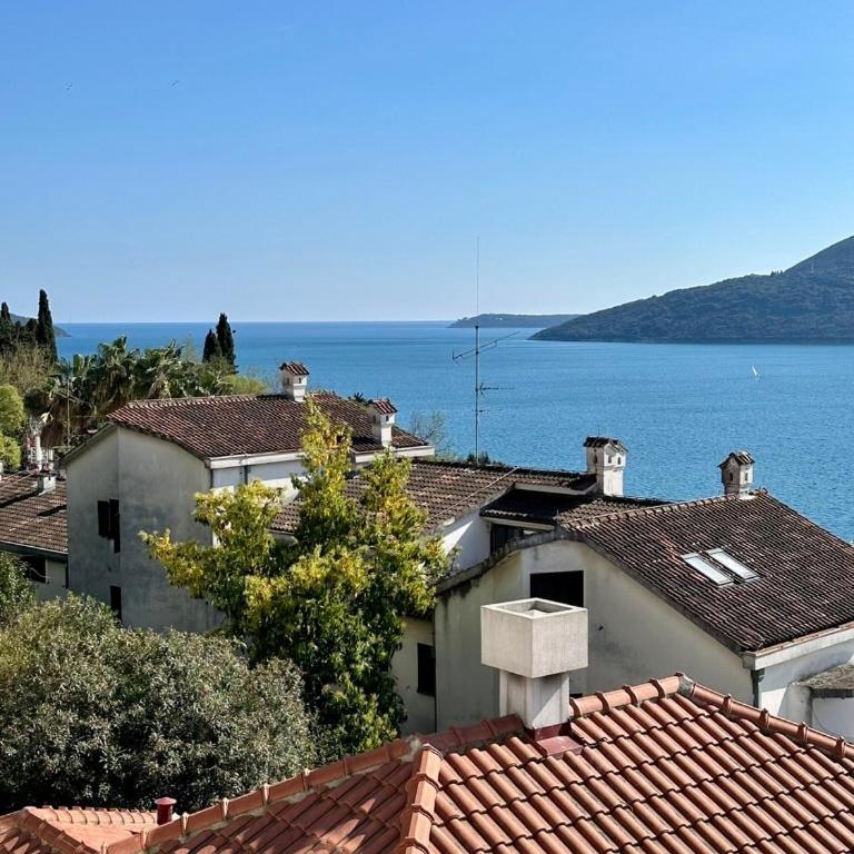 Casa M- Studio #1 - Brand New - Deluxe Queen Studio - 5