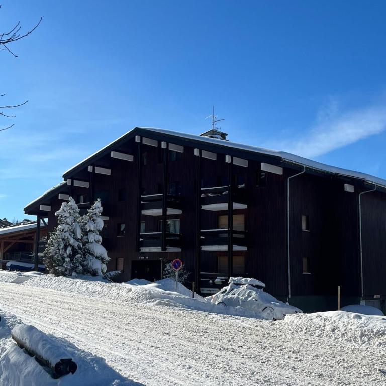 Studio Carroz d'Arâches 4 pers - Appartamento con 1 Camera da Letto - 3