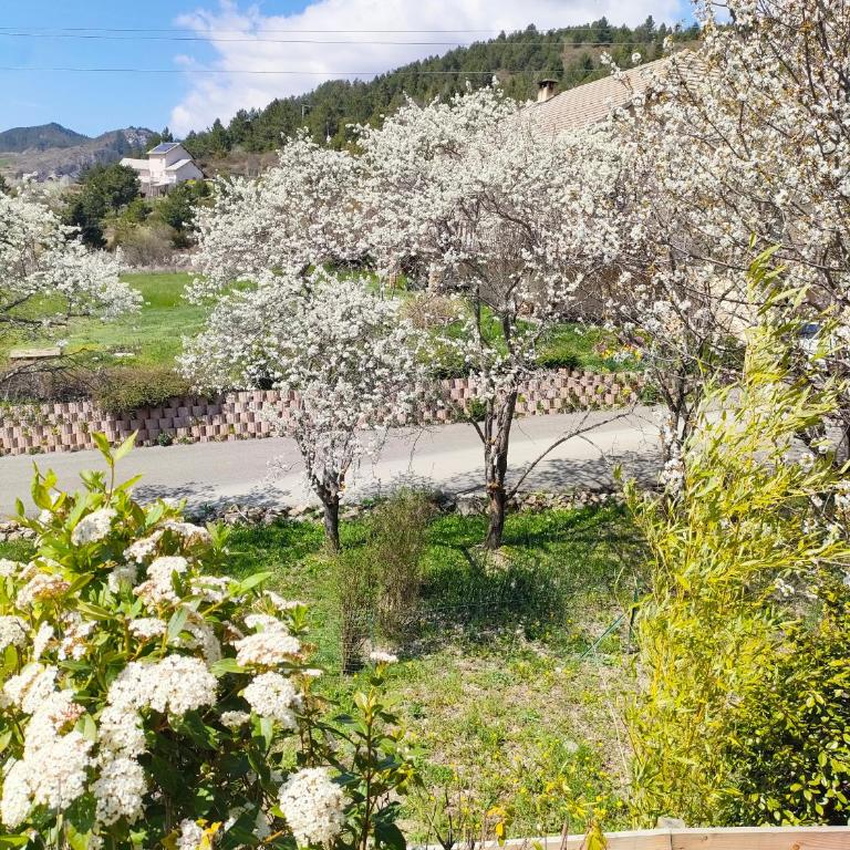 Le Duplex du Plongeoir - spacieux T3 de 65m2 avec vue sur le lac de Serre Ponçon - Appartement 2 Chambres - Vue sur Lac - 21