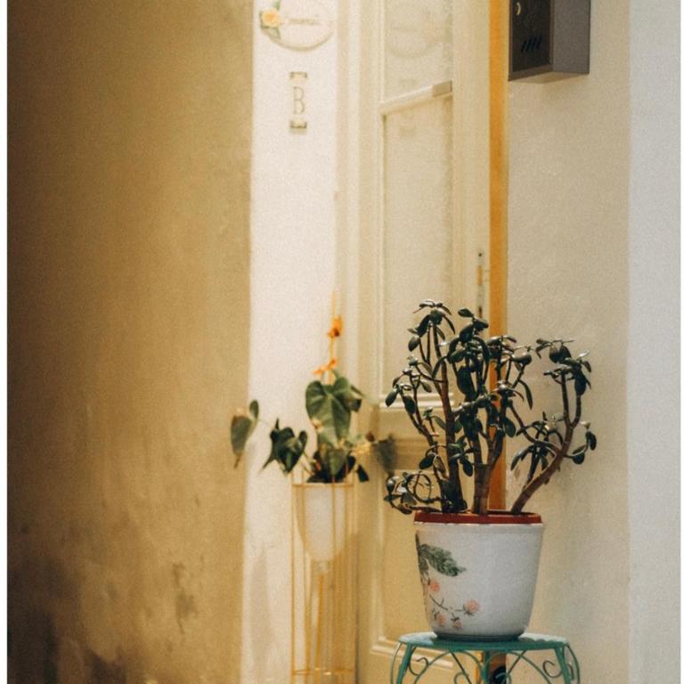 Plaza del Oriente Old Town - Two-Bedroom Deluxe Apartment - 44