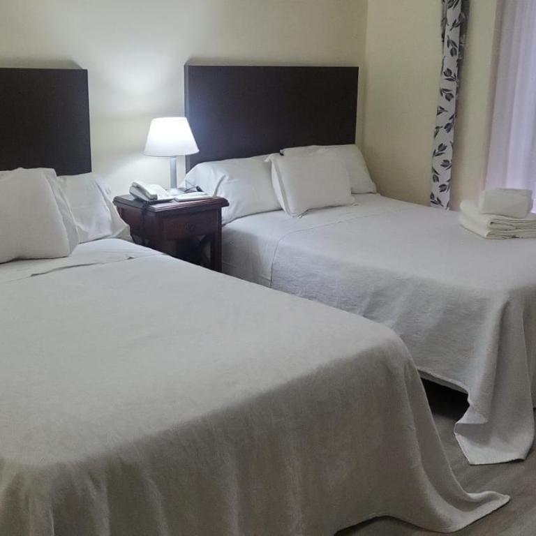 Hotel Plaza Roma - Habitación Doble Superior - 2 camas dobles - 1