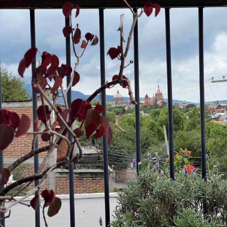 3 deptos en el mismo lugar: Penthouse con doble altura y magnífica arquitectura, Loft con cocina integral y Departamento en planta baja con patio. - Apartamento con vistas y balcón - 16