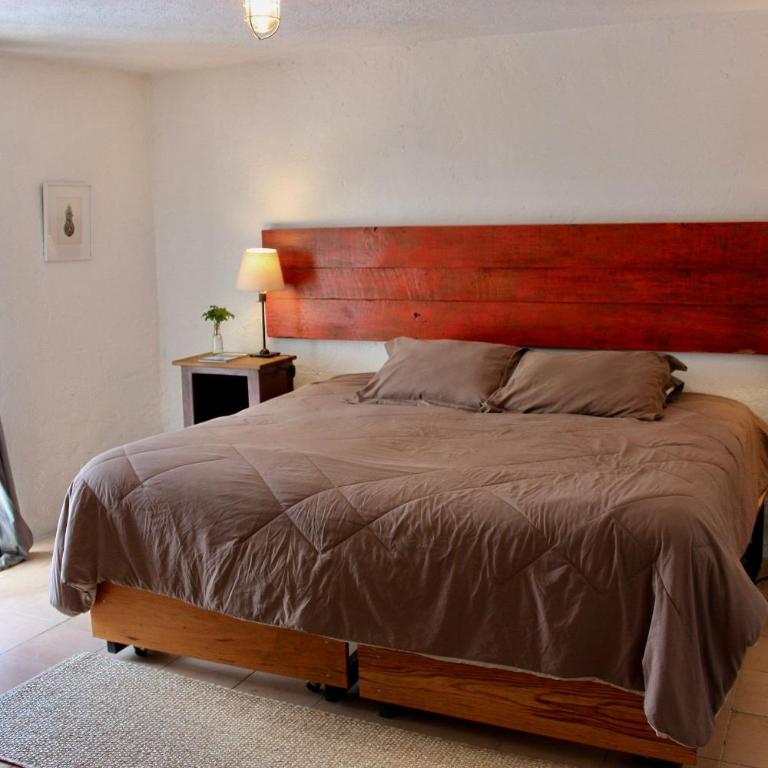 3 deptos en el mismo lugar: Penthouse con doble altura y magnífica arquitectura, Loft con cocina integral y Departamento en planta baja con patio. - Apartamento - Planta baja - 23