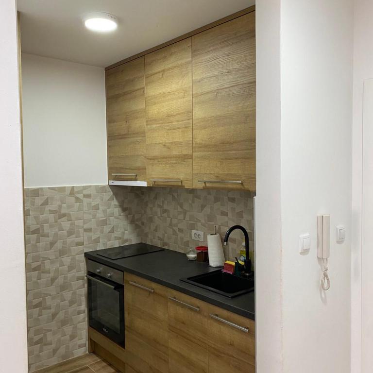 Apartman Vasa - Apartman sa 1 Spavaćom Sobom - 10