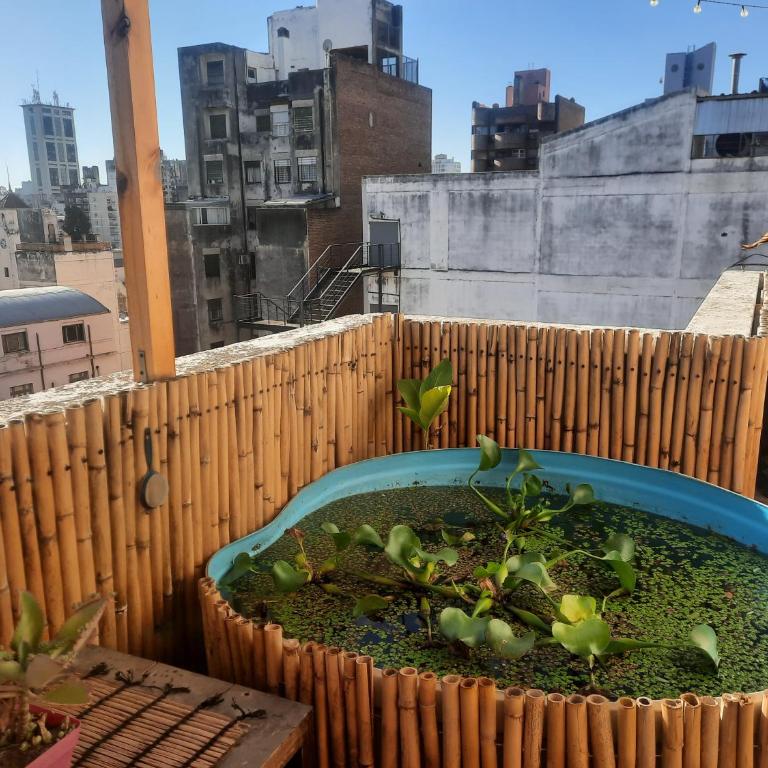 Derpa Zion - One-Bedroom Apartment - 15