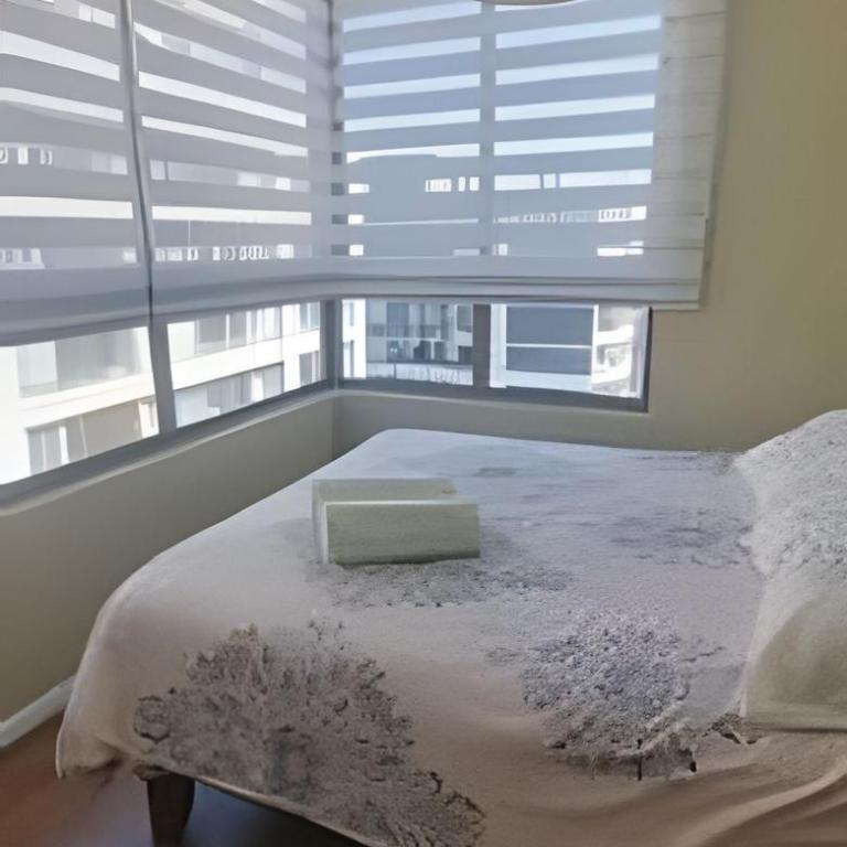 Santiago Centro Depto 2D1B parking free metro Universidad de Chile a 3 cuadras, wifi incuido - Apartamento de 2 dormitorios - 25