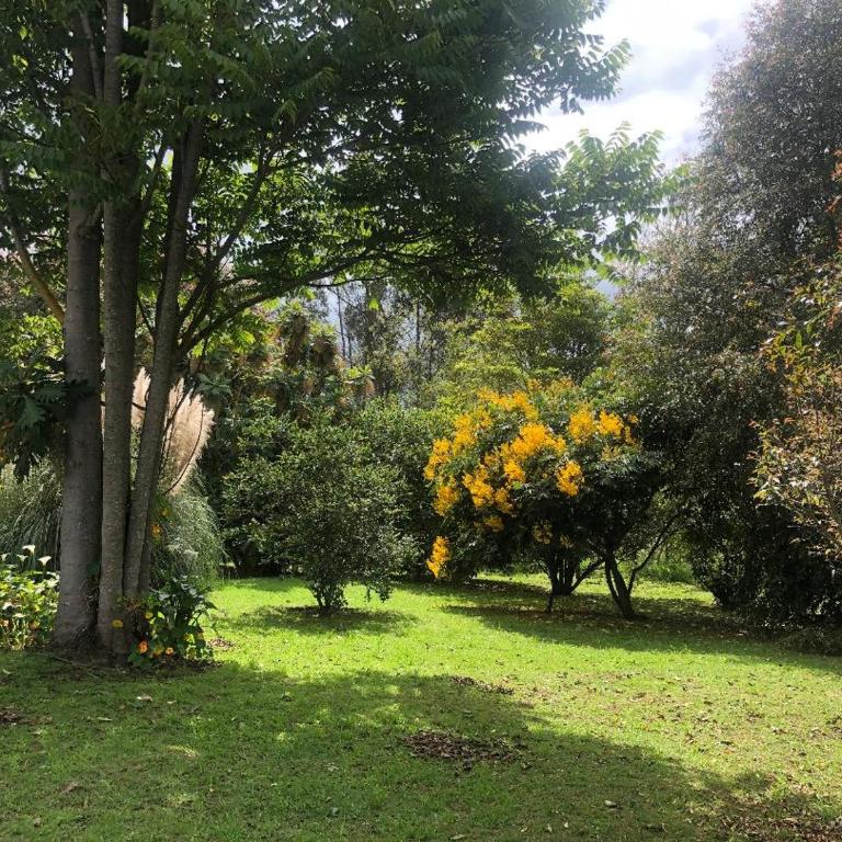alojamiento campestre - Alcaparro - Apartamento de 2 dormitorios - 6