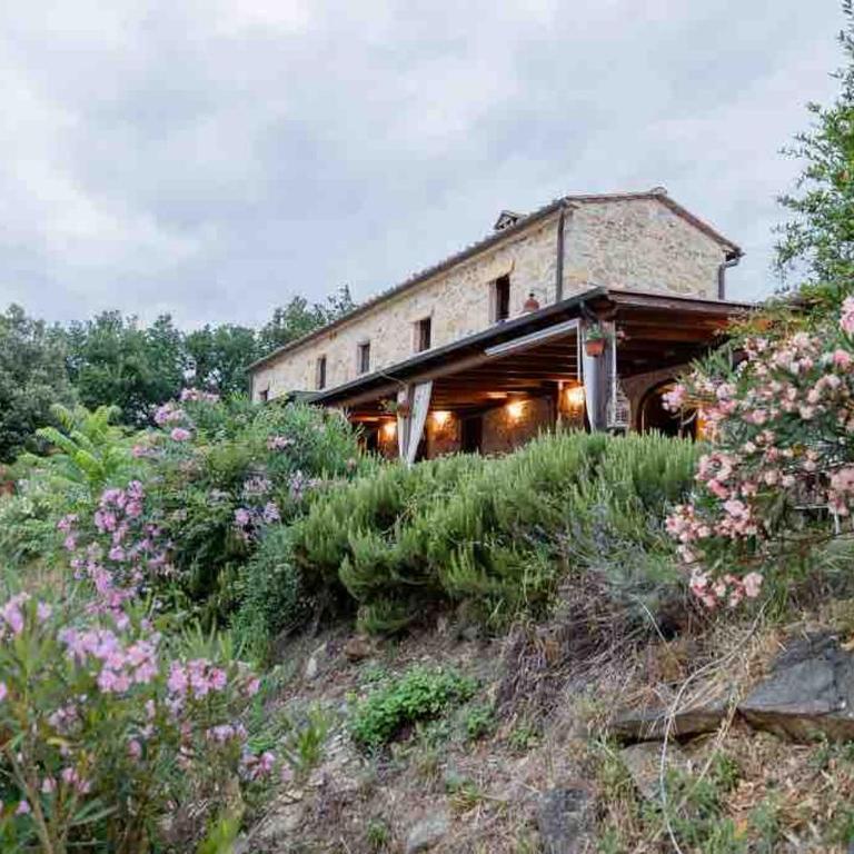 Cottage nel Chianti con piscina - Casa con 3 Camere da Letto - 46
