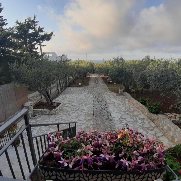 Villa L'orizzonte di calabianca - Casa con 3 Camere da Letto - 3