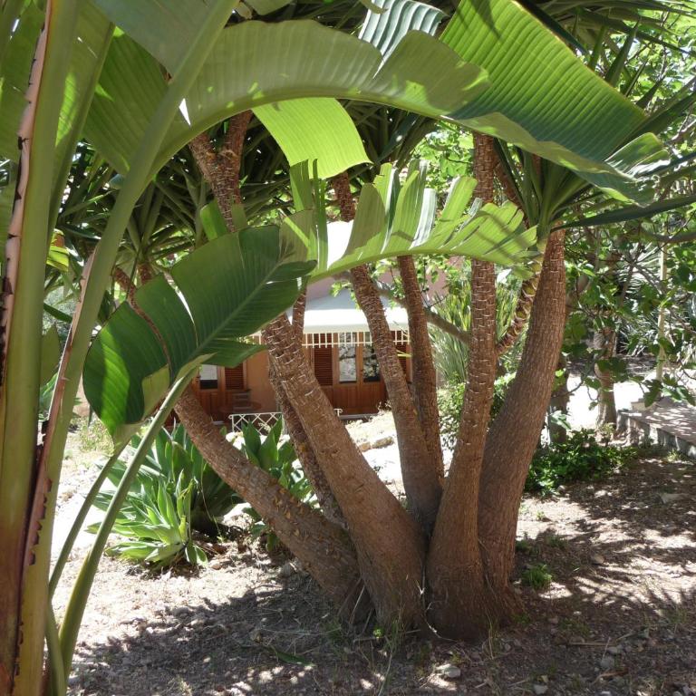 Villa Paladino Solunto - One-Bedroom House - 53