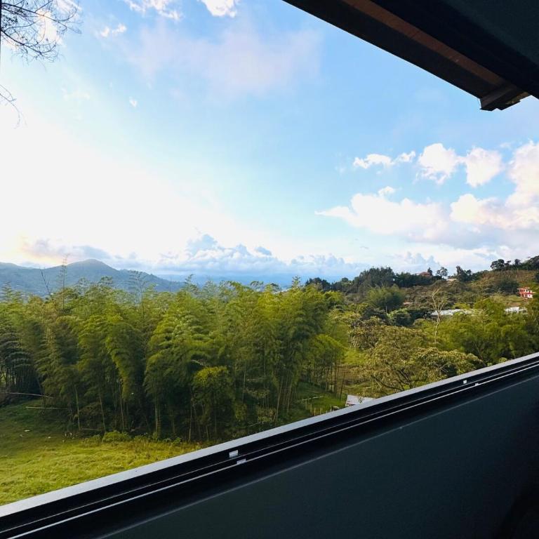 Hermosa Cabaña en El Peñol - Apartamento de 1 dormitorio - 14