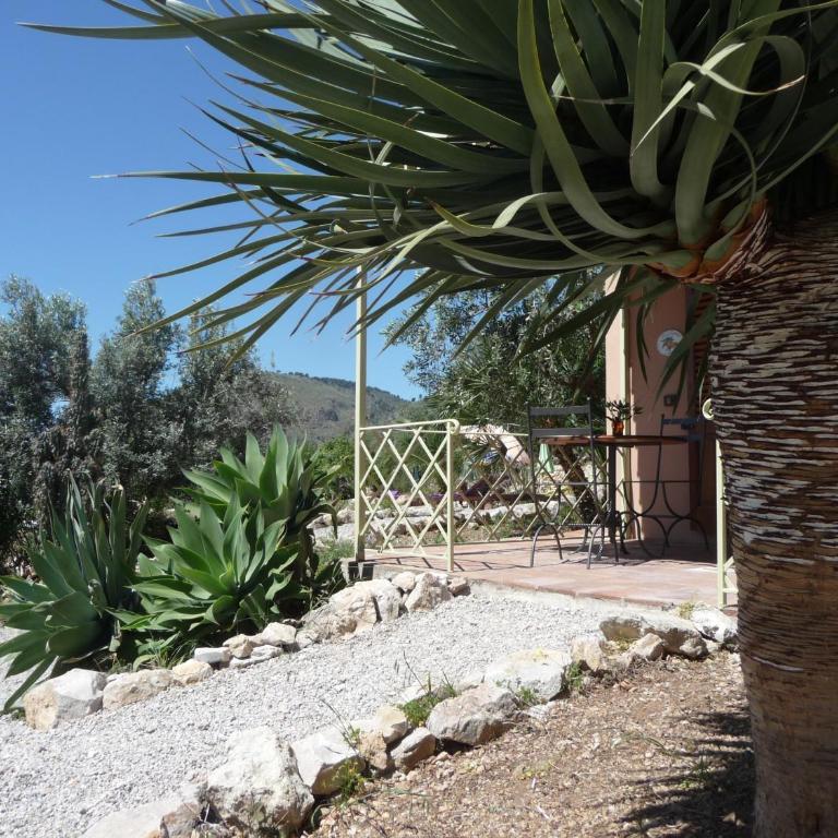 Villa Paladino Solunto - Vacation Home - 26