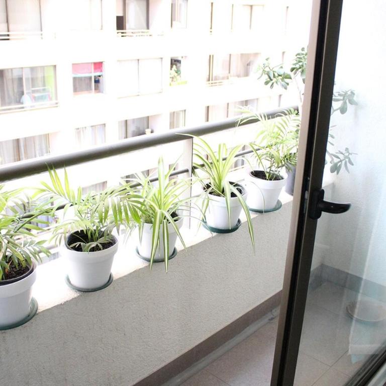 Gran Departamento - Apartamento de 3 dormitorios - 23