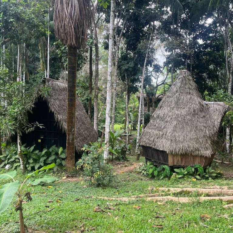 Jungle Cabin - Satori - Habitación Estándar - 1 cama grande - 17