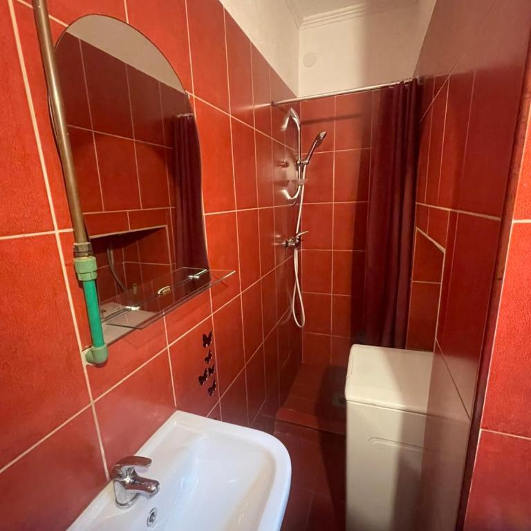 Apartment Center Sarajevo - Apartman sa 1 Spavaćom Sobom - 6