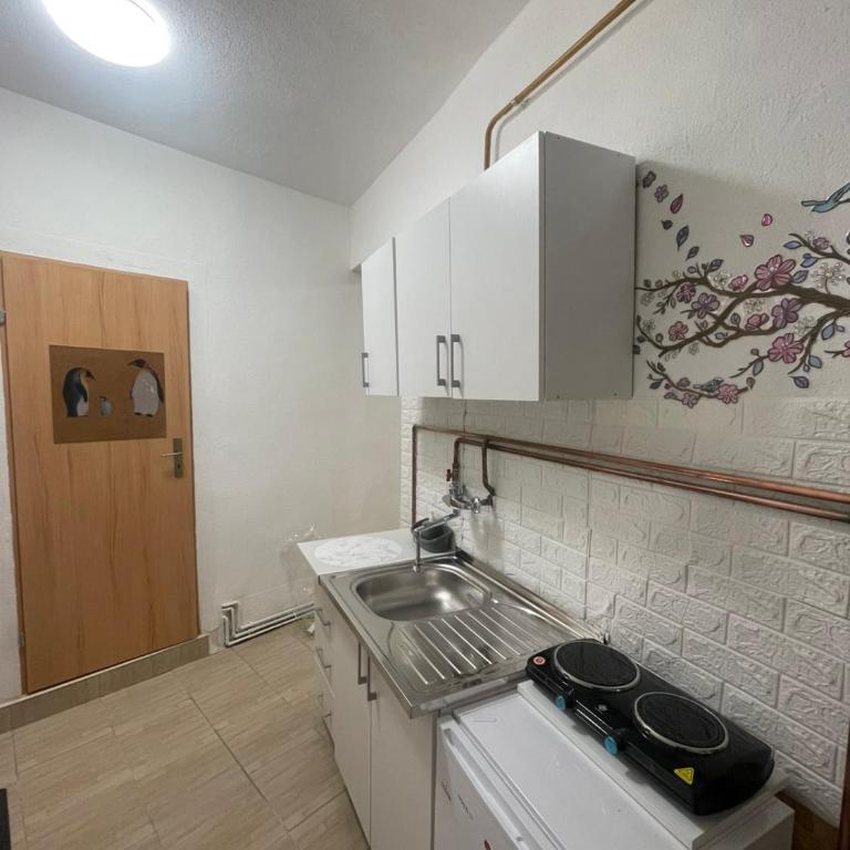 Apartment Center Sarajevo - Apartman sa 1 Spavaćom Sobom - 9
