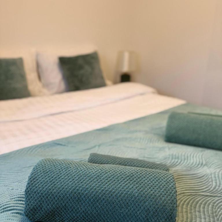 Apartman Vuk - Apartman sa 1 Spavaćom Sobom - 15