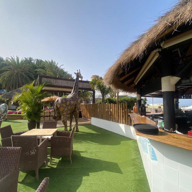 Apartment with Sea View Close to the beach - Apartamento - 44