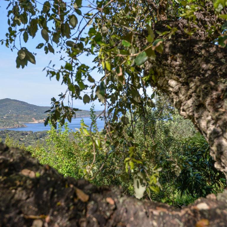 Casa Vignola - Villa con 2 Camere da Letto - 29