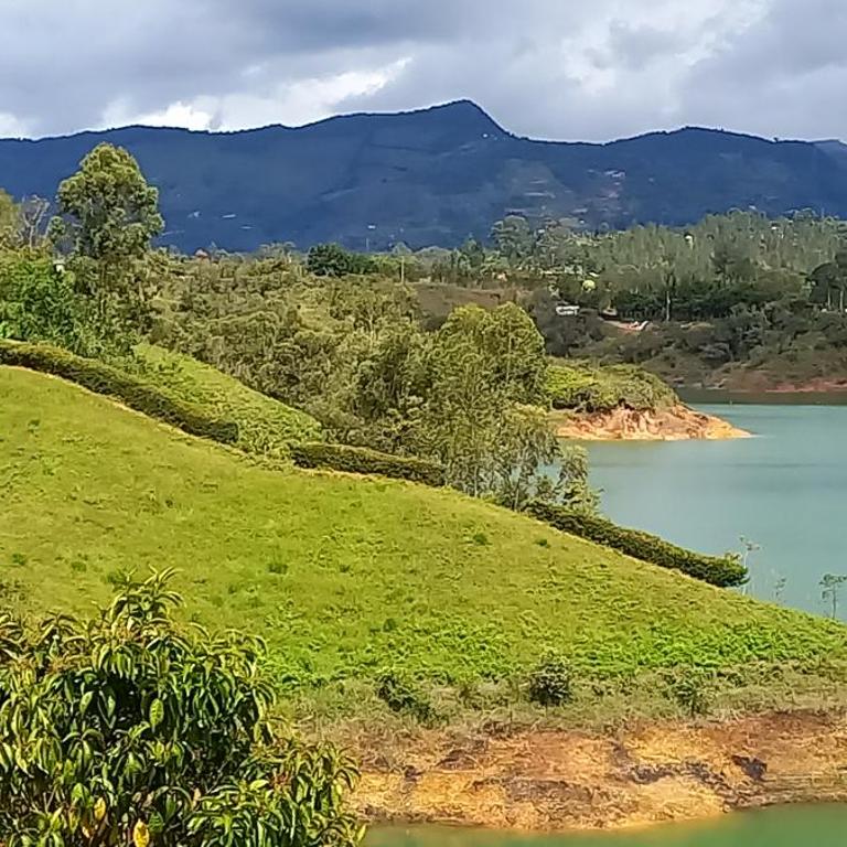 Finca Villa Glamping - Villa - 54