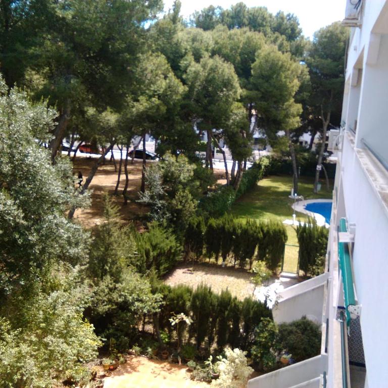 APARTAMENTO PINAR de MONTEMAR - Apartment with Garden View - 15